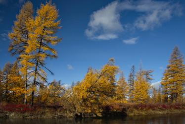 Similar image 21847766