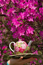 Similar image 21847778