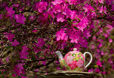 Similar image 21847780