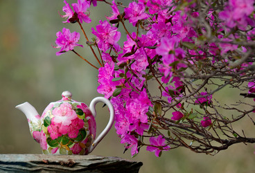 Similar image 21847782