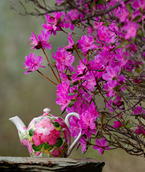 Similar image 21847784