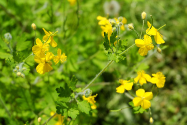 Similar image 21845914