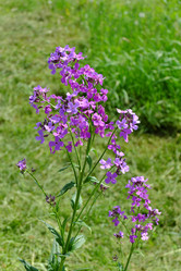 Similar image 21845915