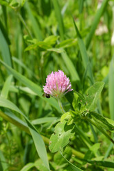 Similar image 21845917