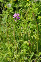 Similar image 21845918