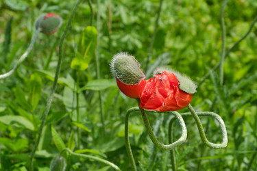 Similar image 21845920