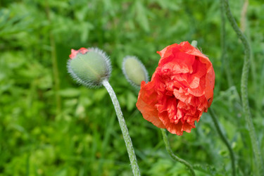 Similar image 21845921