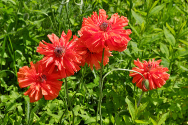 Similar image 21845922