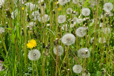 Similar image 21845923