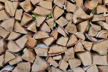 Similar image 21845927