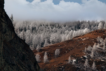 Similar image 21847791