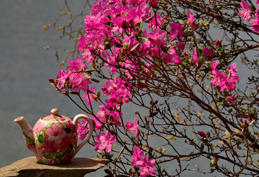 Similar image 21847792