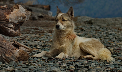 Similar image 21847794