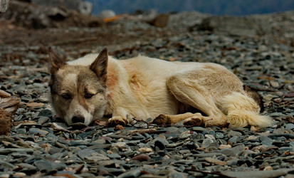 Similar image 21847798