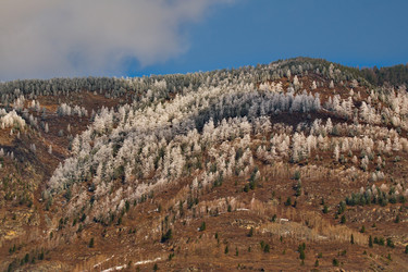 Similar image 21847806