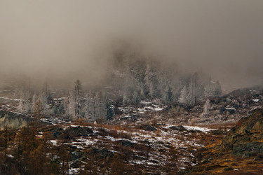 Similar image 21847421