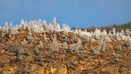 Similar image 21847425