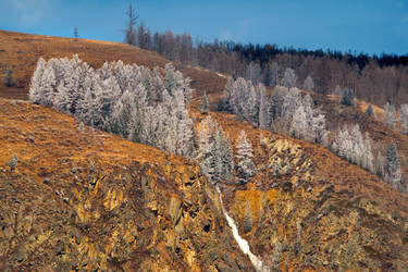 Similar image 21847431