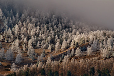 Similar image 21847432