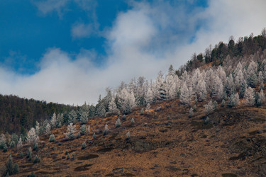 Similar image 21847433