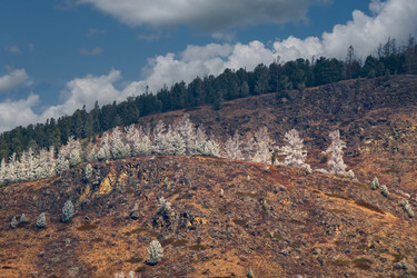 Similar image 21847437