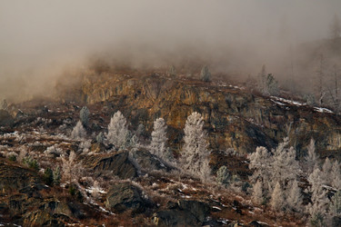 Similar image 21847439