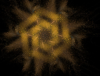 Similar image 21847448