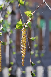 Similar image 21846501