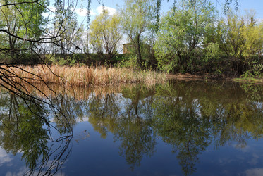 Similar image 21846505