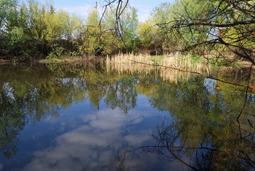 Similar image 21846506