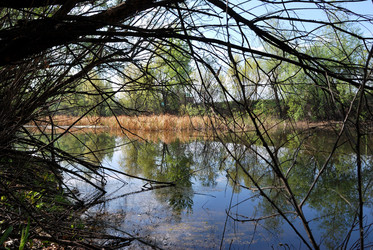 Similar image 21846508