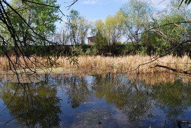 Similar image 21846509