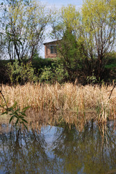 Similar image 21846510