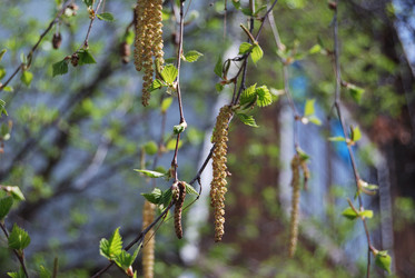 Similar image 21846511