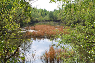 Similar image 21846513