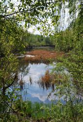 Similar image 21846514