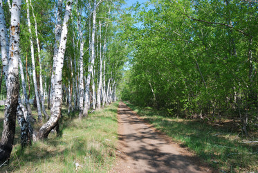 Similar image 21846516