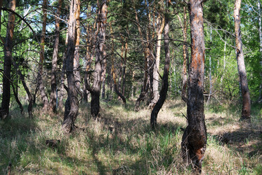 Similar image 21846521