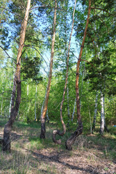 Similar image 21846524