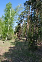 Similar image 21846526