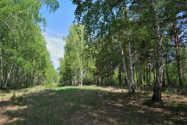 Similar image 21846532