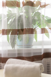 Similar image 21845752