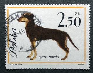 Similar image 21845823