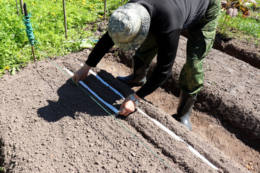 Similar image 21845762