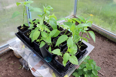 Similar image 21845764