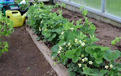 Similar image 21845765