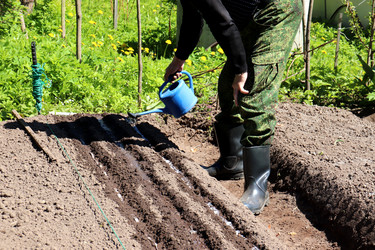 Similar image 21845766