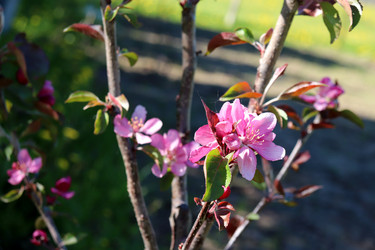 Similar image 21845767