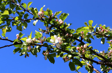 Similar image 21845769