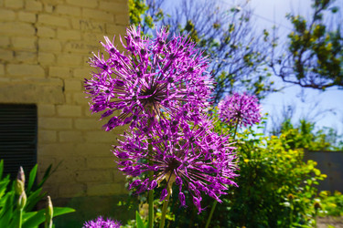 Similar image 21855632